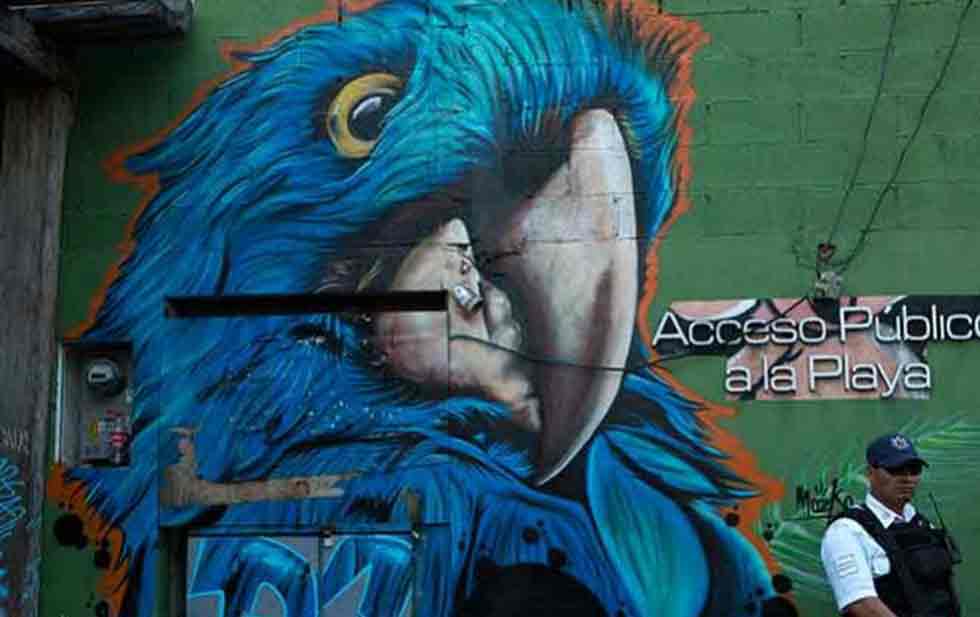 blue parrot
