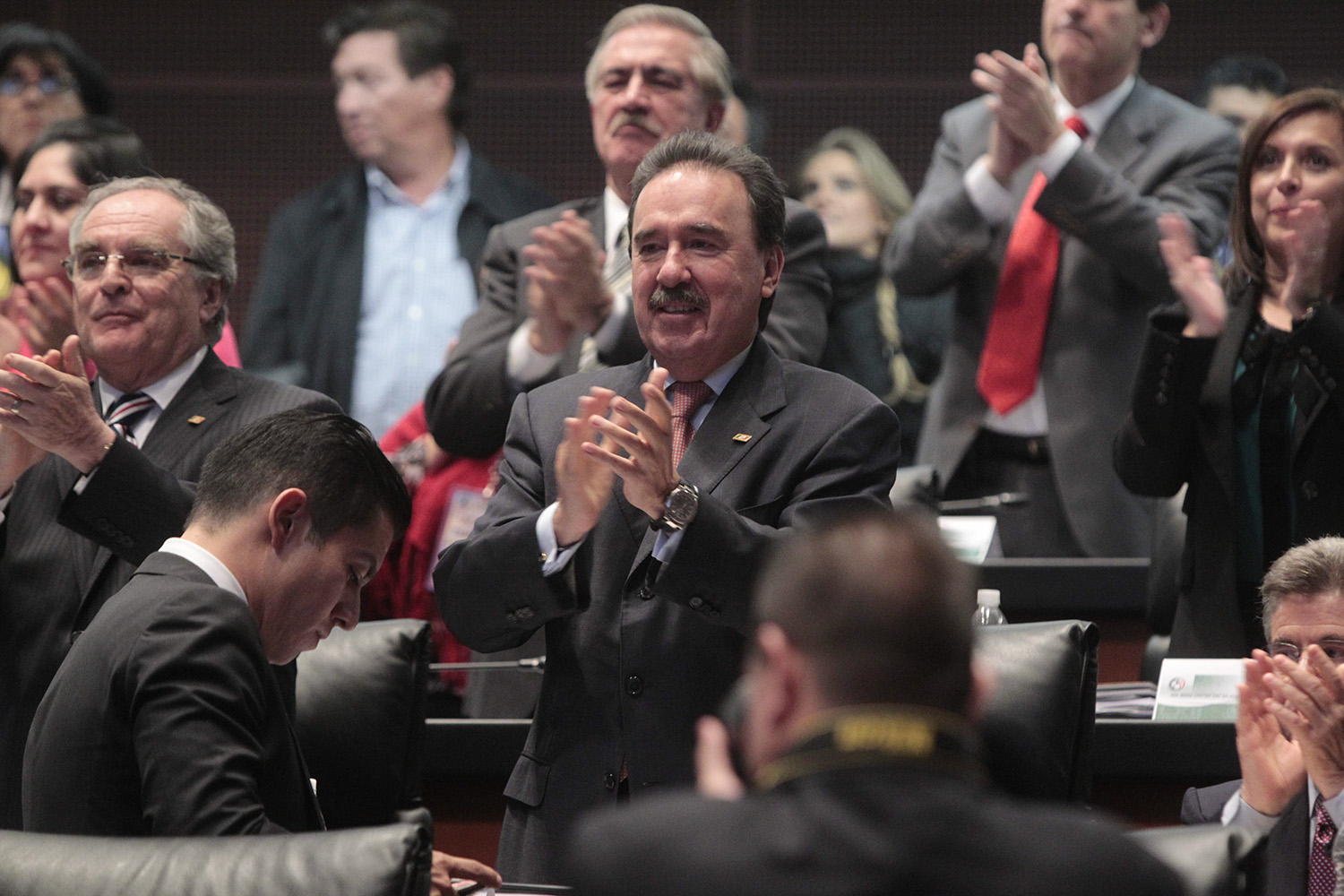 senado