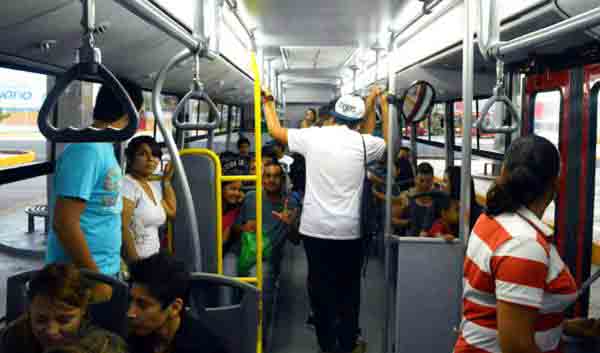 vivebus