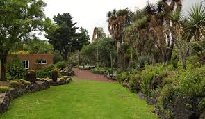 jardin