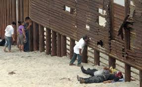 migracion