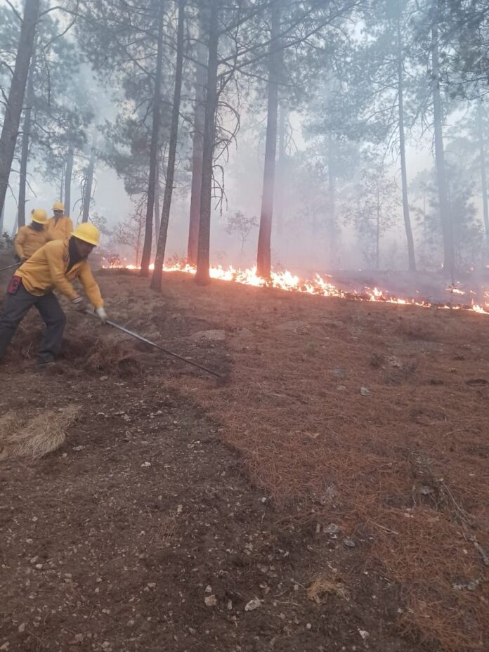 51662aee-a119-4c39-bf9d-d9da16dbbf53