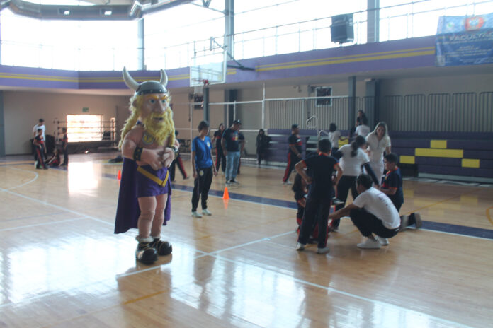 WhatsApp Image 2024-05-22 at 12.11.33 PM