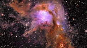 cosmos