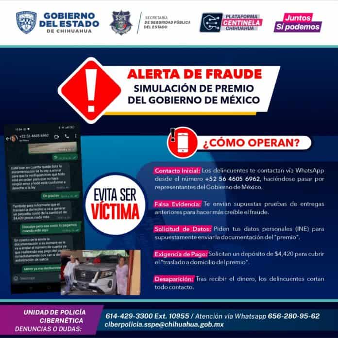 WhatsApp Image 2024-08-20 at 4.17.18 PM