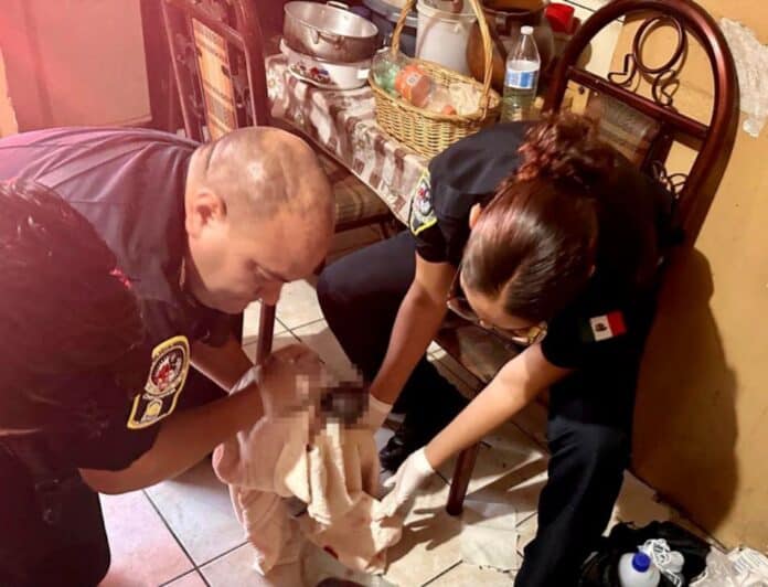 WhatsApp Image 2024-08-21 at 7.33.53 PM