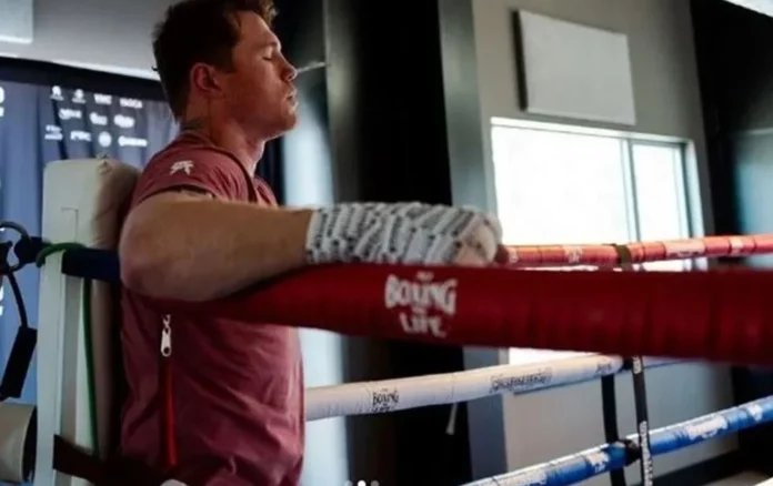 canelo3-DcyQBla7k