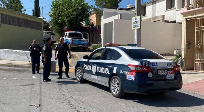 principal_inshot_20240805_104220033