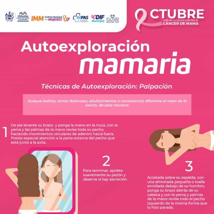 WhatsApp Image 2024-10-19 at 8.56.25 AM