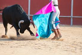 toros