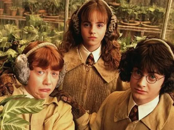 HARRY