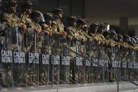 guardia