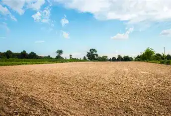 descargar