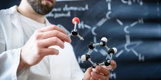 stem