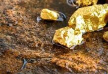 Destaca Chihuahua en producción de oro