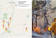 Rodean incendios forestales San Juanito; reporta Conafor seis