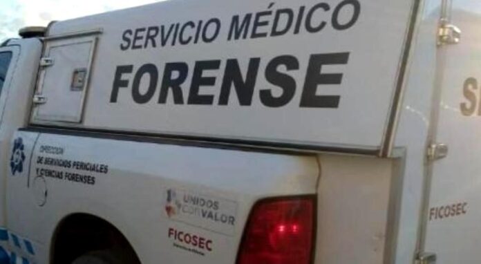 principal_peritos