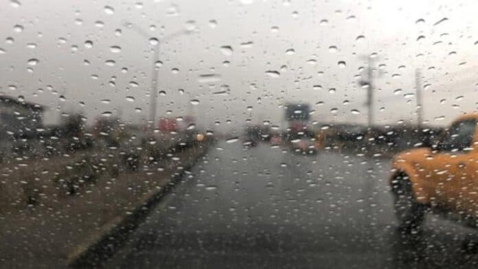 principal_principal_principal_f2c05b1b-d455-4d34-b0b5-b04d8ed93ac7-2598-0000024028a4838b