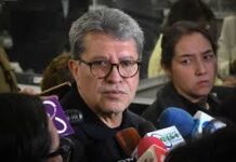 Dan ultimátum al PT y Verde por reforma