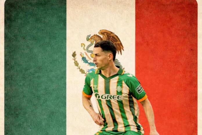 69bdd05a6b8cf.r_d.1003-580-5081