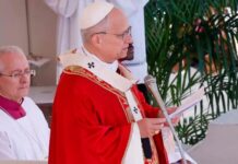 “¡Depongan las armas, son hermanos!”: llamado del Papa León XIV en Domingo de Ramos