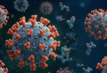 Alerta mundial por la nueva variante de COVID-19 BA.3.2