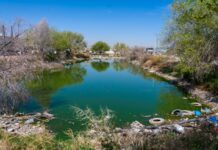 REALIZA LA JMAS TRABAJOS DE LIMPIEZA Y MANTENIMIENTO EN EL MEZQUITAL