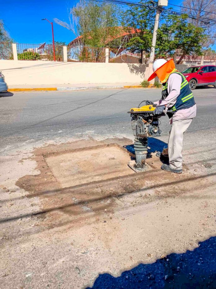 PHOTO-2026-03-22-11-26-49