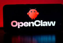 China publica directriz de seguridad de OpenClaw para usuarios, proveedores en la nube y desarrolladores