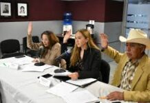 Comisión de Ciencia y Tecnología aprueba instalación de mesa técnica para analizar Ley de Inteligencia Artificial