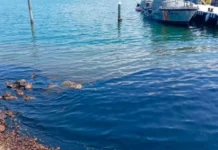 Derrame llegaría a Texas