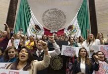 Habrá costo político para Verde y PT por no apoyar la reforma electoral: Morena