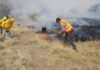 Tres incendios forestales activos en Chihuahua: Conafor