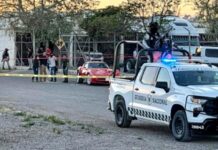 Ocho ejecutados el lunes en el estado: reporte