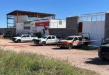 100 armas, 55 kg de drogas, huachicol: FGR Chihuahua en febrero