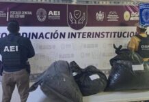 Aseguró Fiscalía 34 kilos de marihuana en la carretera a Aldama