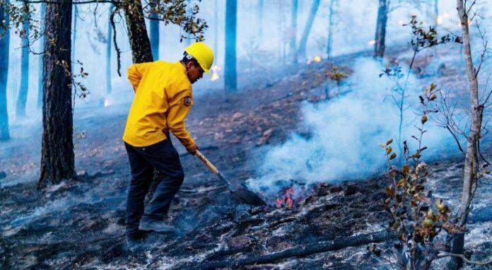 principal_incendio (1)