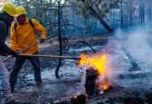 Sofocaron tres incendios forestales en la Sierra el lunes