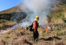 Controlan incendio forestal en Basaseachi; surgen otros dos