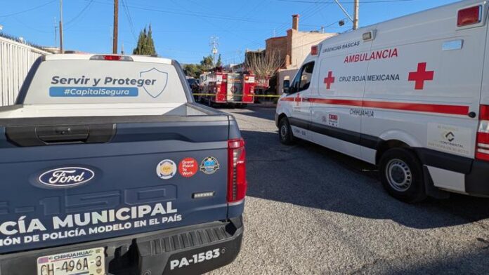 principal_inshot_20260311_091455771