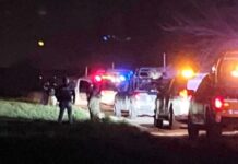 14 homicidios en el estado el fin de semana: Informe de Seguridad