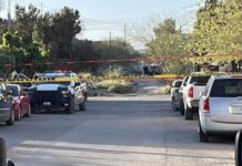 Cinco homicidios el último día en el estado: informe