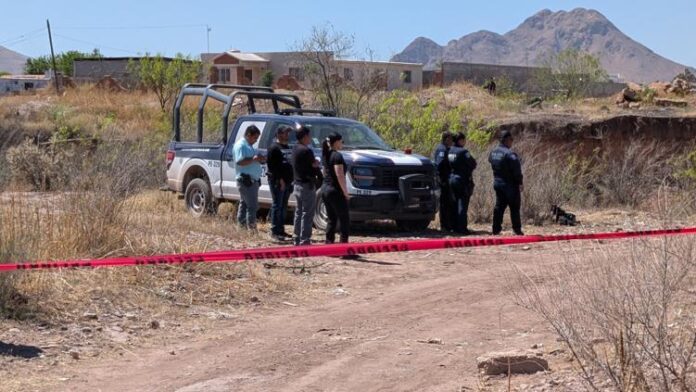 principal_principal_inshot_20260320_132624058-1