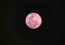 ¡Llega la Luna Rosa! ¿Cuándo y cómo verla sin telescopio?