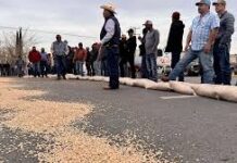 Intensifican protestas productores de frijol