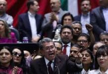 PT presenta objeciones al Plan B; Morena nos trata como si no aportáramos nada, se queja líder