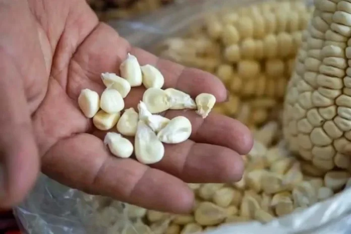 imagetransformer-33-PtArN4bN6