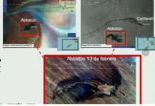 Admiten que se relegó revisión de ductos