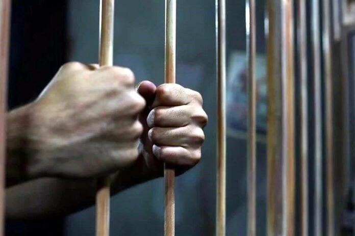 imagetransformer-W79WbIccF (1)