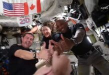 Felicitan a astronautas de Artemis II: ‘Hicieron historia’